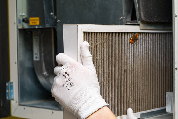 Air Duct Mold Removal in Granite Quarry, NC